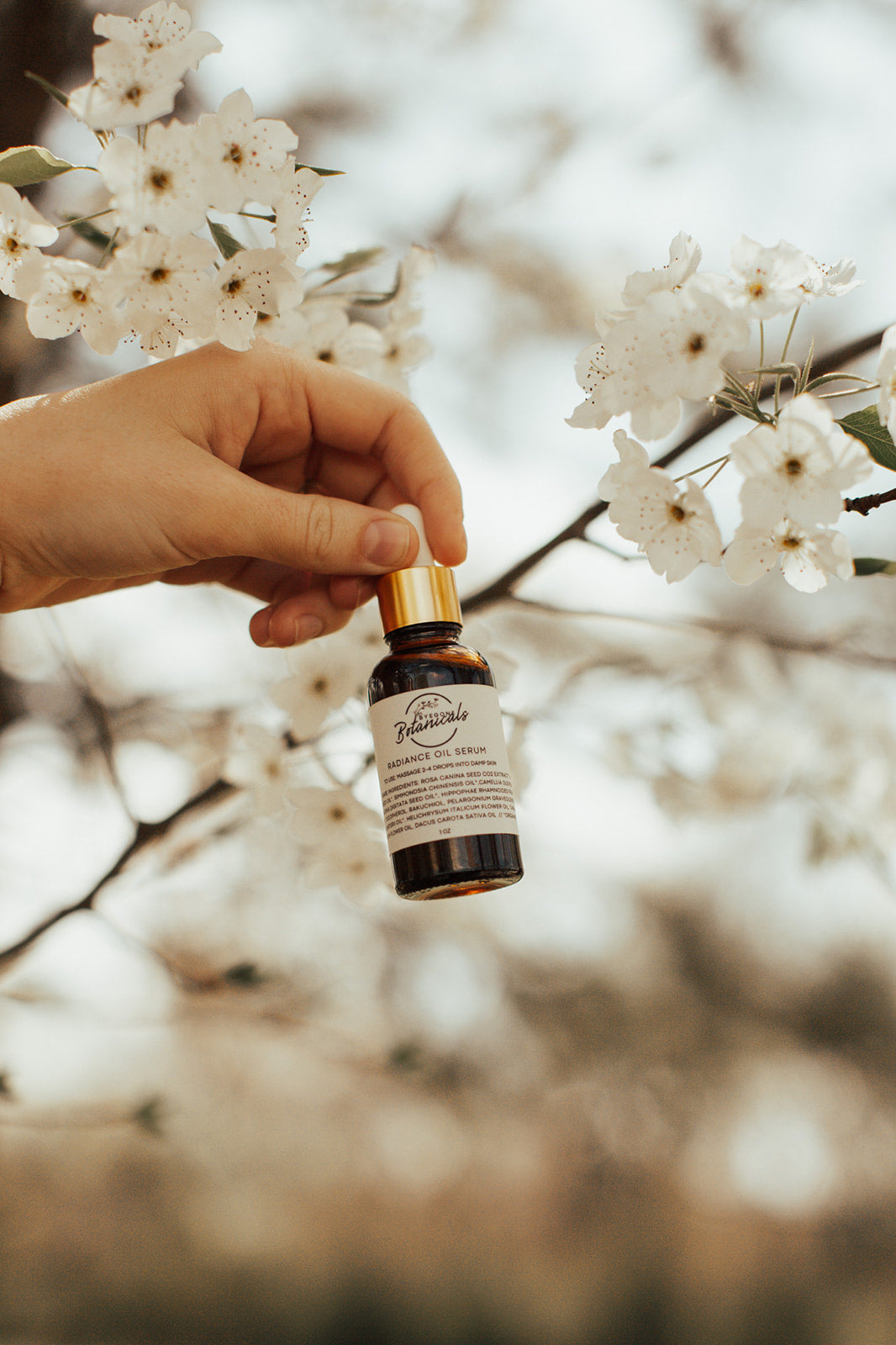 Radiance Oil Serum