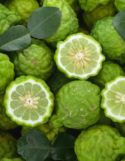 Bergamot, Essential Oil Spotlight