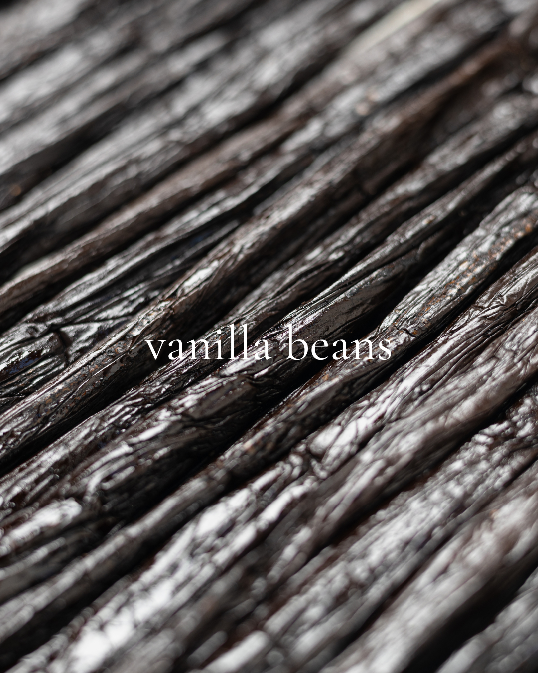 Vanilla Mint Lip Nourish