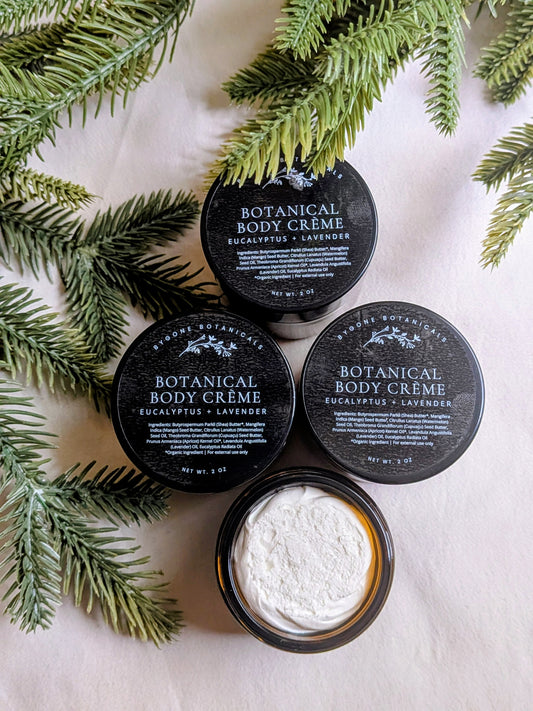 4 Pack Eucalyptus + Lavender Botanical Body Creme