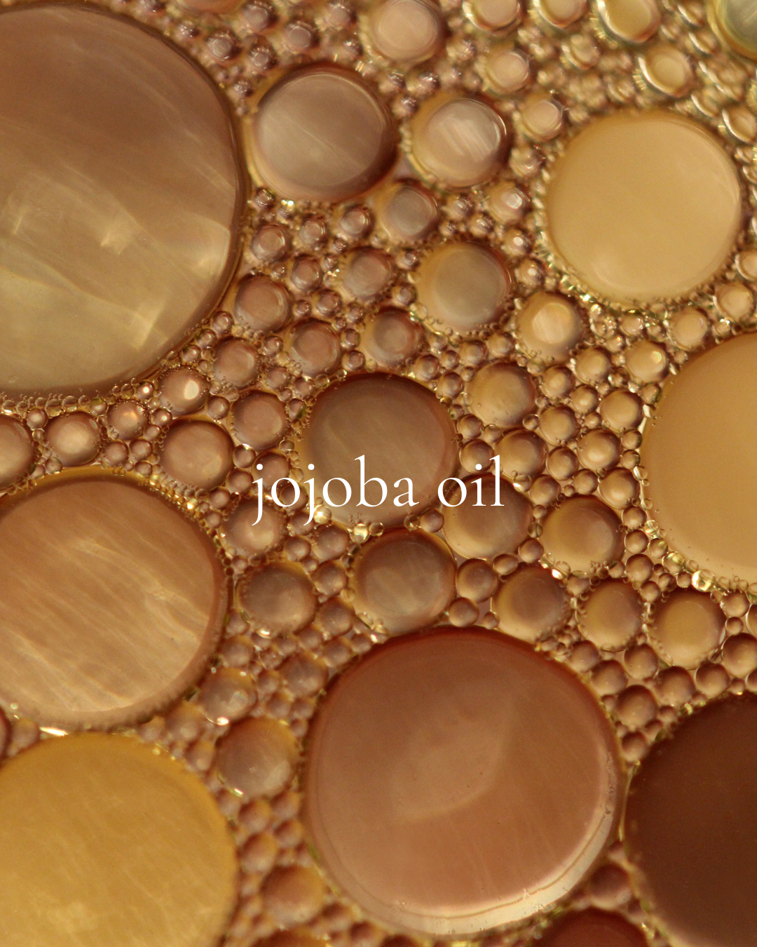 Vanilla Mint Lip Nourish