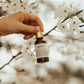 Radiance Oil Serum