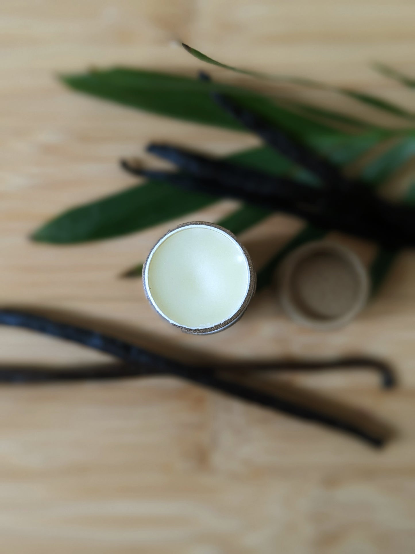 Vanilla Mint Lip Nourish